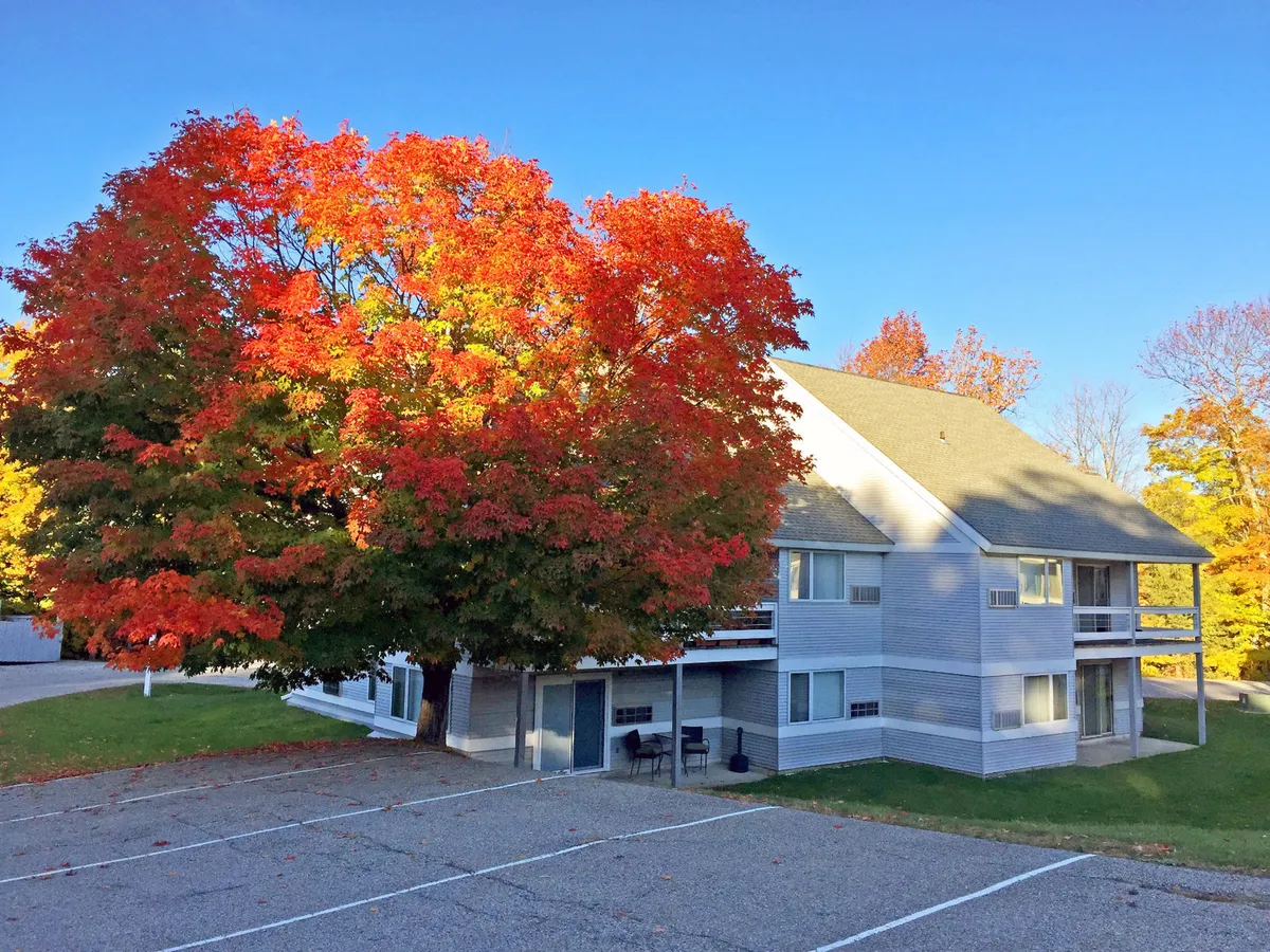 A tranquil exterior shot featuring a vibrant red autumn tree, a modern building facade, and a welcoming parking area. The scene suggests a cozy, inviting spot for guests to begin their exploration of the neighborhood and nearby venues.